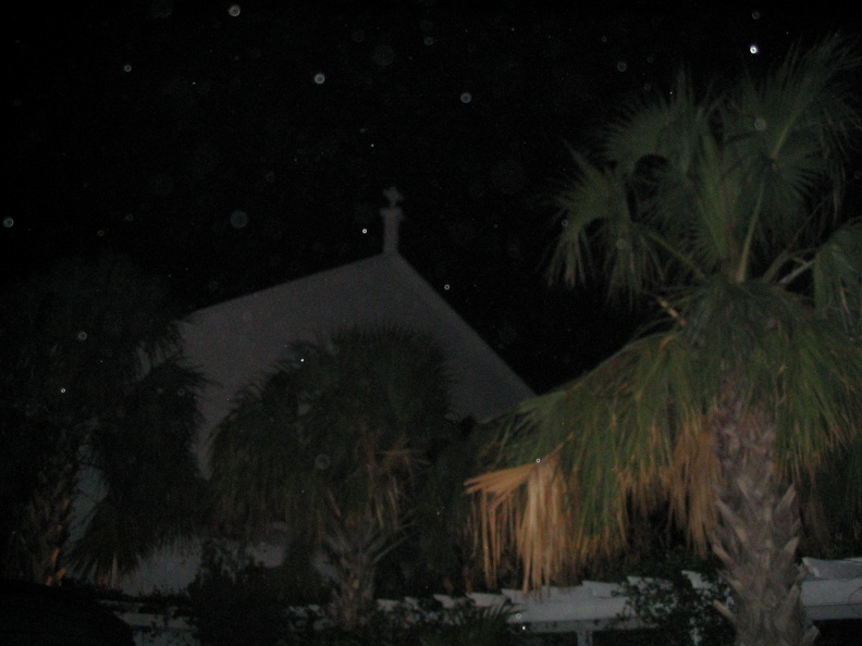 Florida2006 115.jpg